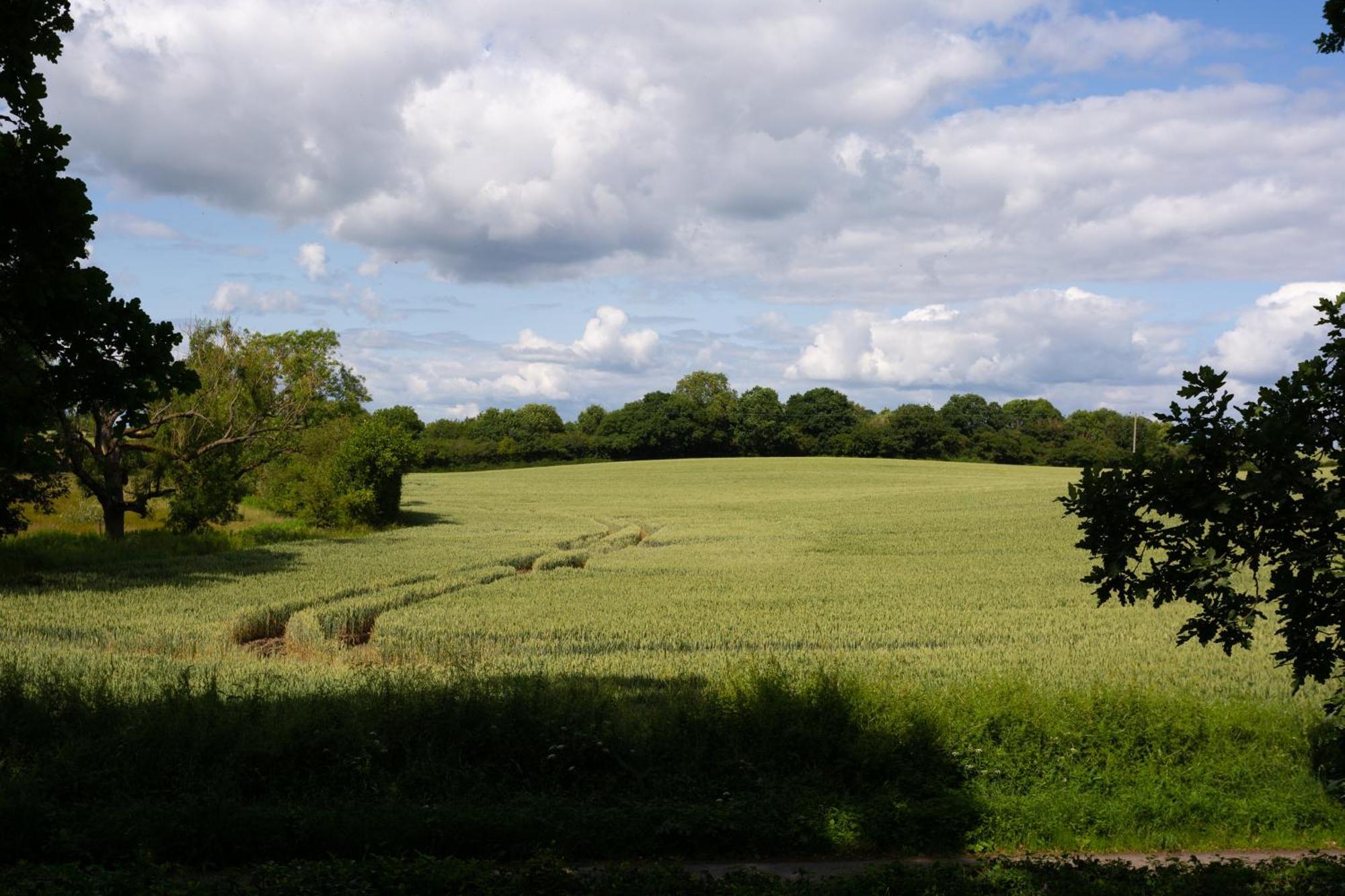 Wensleydale * Masham